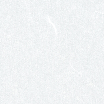 TW2(0.2×930×1850) TW-2 ワーロン PETシート 雲竜 (0.2×930×1850)